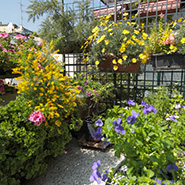 Antica Locanda dei Mercanti - terrace room